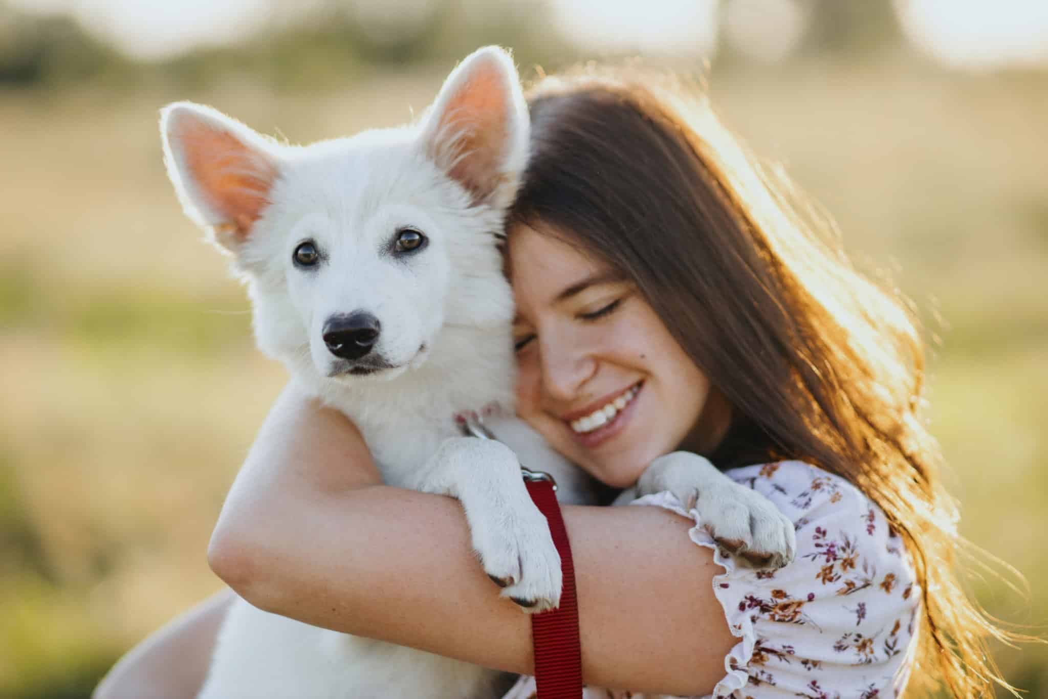 Haustier-Fotoshooting: Unsere Profi-Tipps für natürliche und unvergessliche Tierfotos