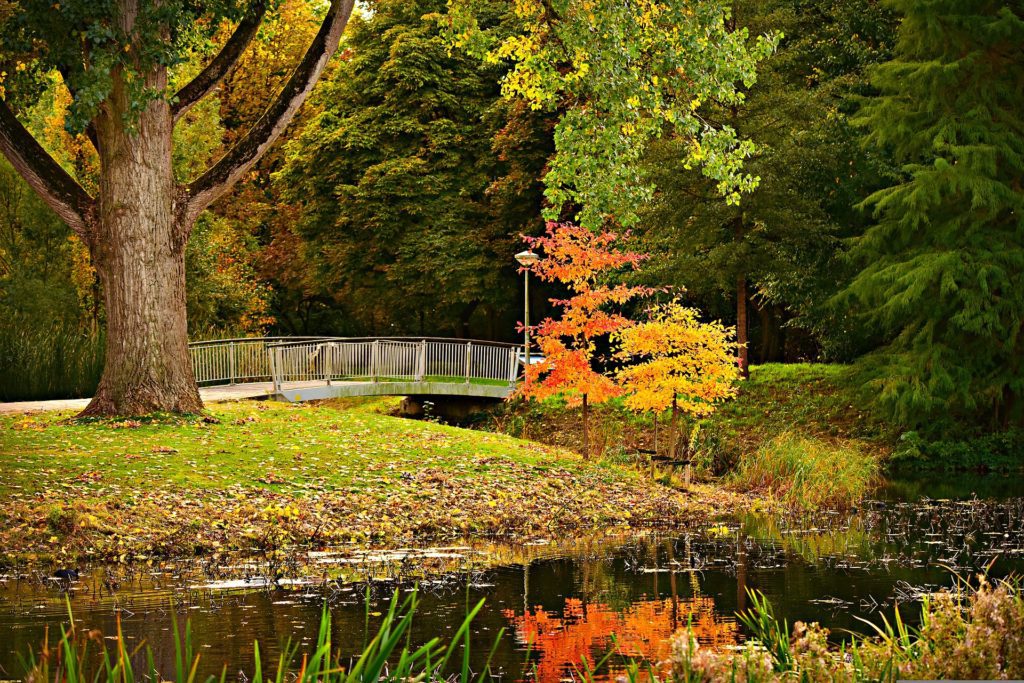 Die schönsten Parks in Berlin für ein Outdoor-Fotoshooting im Herbst